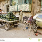 street-scene-watermelon-seller-cairo-old-town-egypt-24602644