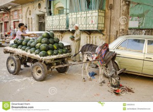 street-scene-watermelon-seller-cairo-old-town-egypt-24602644