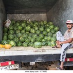 watermelon-seller-sheikh-mansur-market-dushanbe-tajikistan-ctr1t3